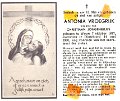 Vroegrijk, Antonia 07.10.1877